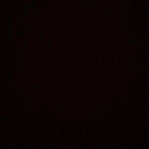 Meet your Posher, Hector